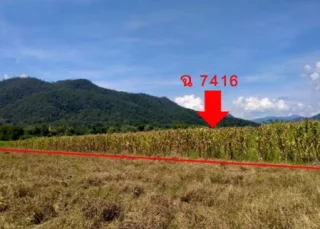 รูปทรัพย์ 2