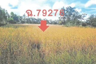 รูปทรัพย์ 2