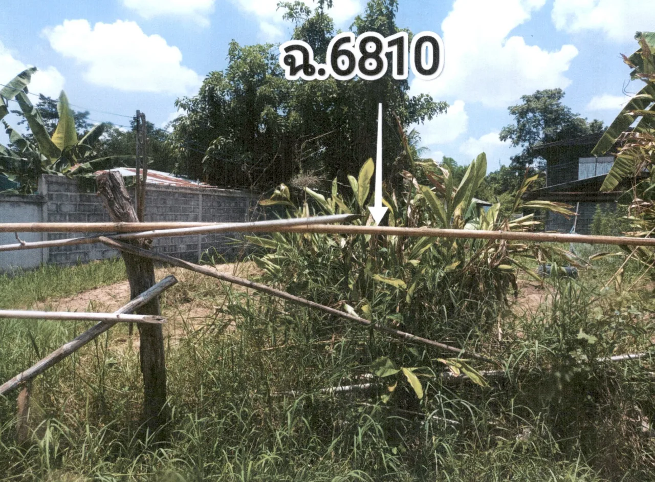 ขายทอดตลาด ที่ดินว่างเปล่า ต.ร่องคำ อ.ร่องคำ จ.กาฬสินธุ์