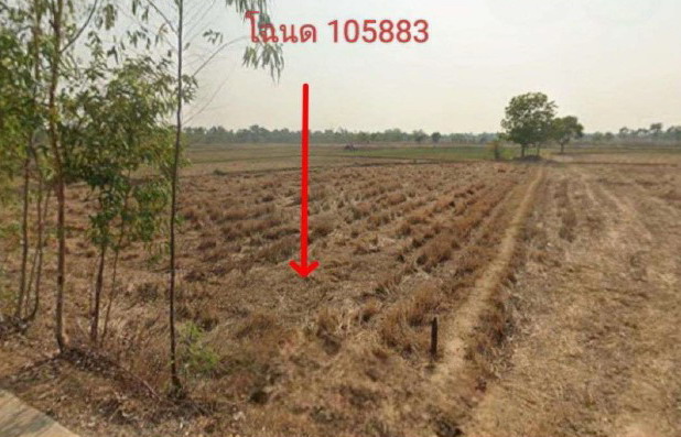 ขายทอดตลาด ที่ดินว่างเปล่า ต.หนองคู อ.เมืองยโสธร จ.ยโสธร