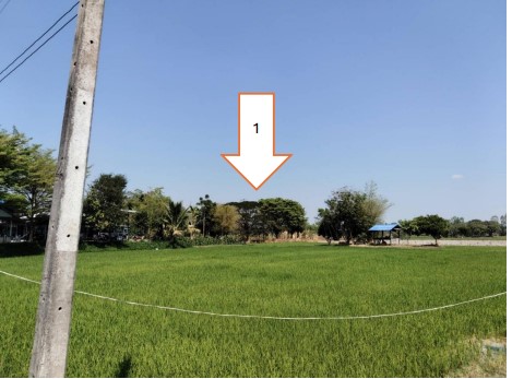 ขายทอดตลาด ที่ดินว่างเปล่า ต.ทุ่งมน อ.คำเขื่อนแก้ว จ.ยโสธร