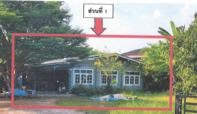 ขายทอดตลาด ที่ดินพร้อมสิ่งปลูกสร้าง ต.ดอนทราย อ.โพธาราม จ.ราชบุรี
