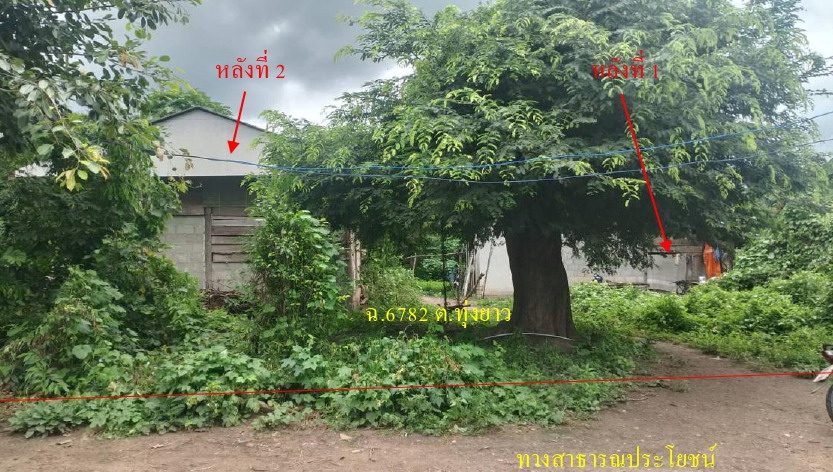 ขายทอดตลาด ที่ดินพร้อมสิ่งปลูกสร้าง ต.ทุ่งยาว อ.ปาย จ.แม่ฮ่องสอน