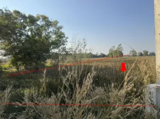 รูปทรัพย์ 1
