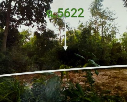 ขายทอดตลาด ที่ดินว่างเปล่า ต.(สะอาด)หนองตาไก้ อ.โพธิ์ชัย จ.ร้อยเอ็ด
