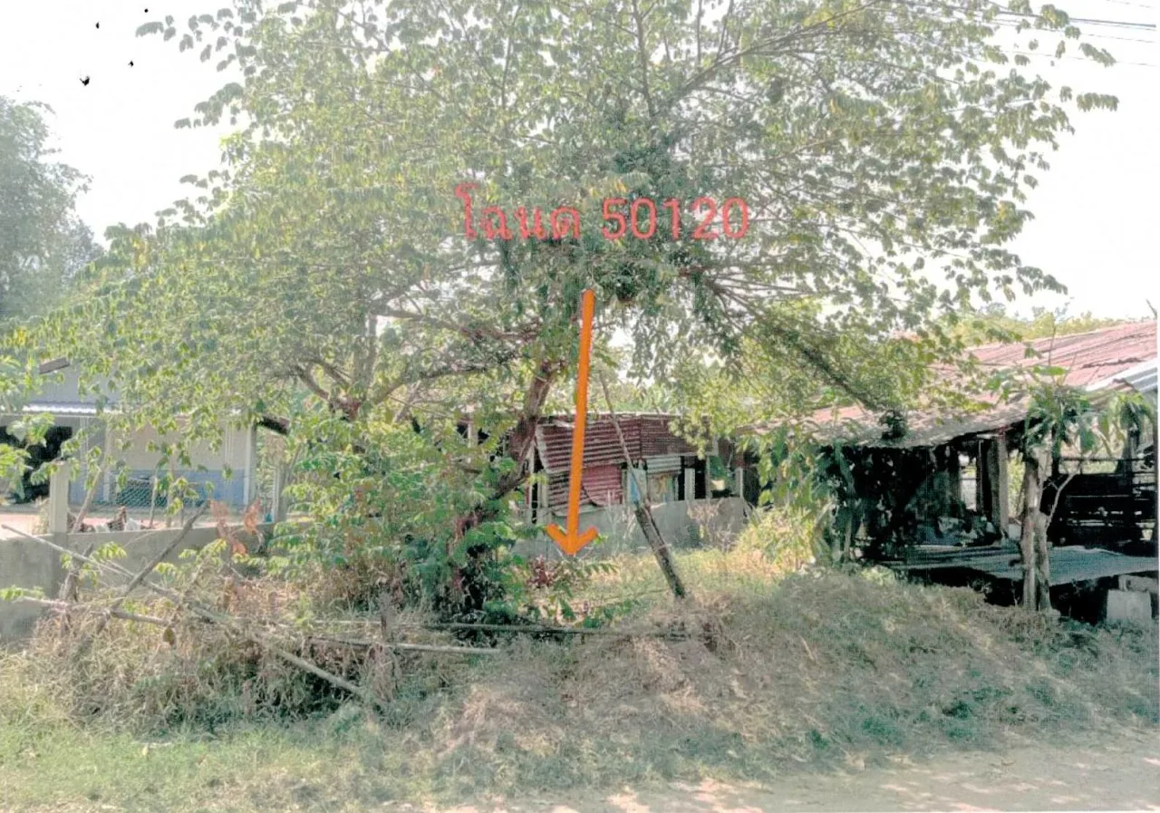 ขายทอดตลาด ที่ดินว่างเปล่า ต.ขั้นไดใหญ่ อ.เมืองยโสธร จ.ยโสธร
