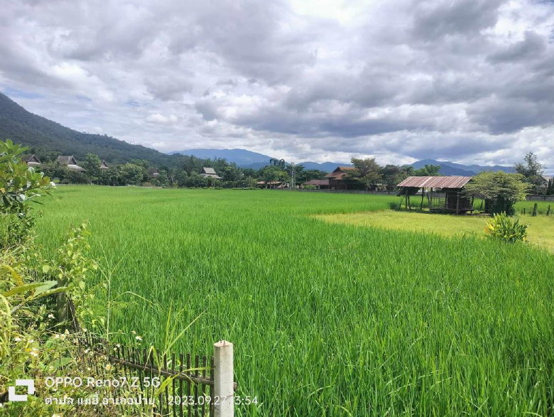 ขายทอดตลาด ที่ดินว่างเปล่า ต.แม่ฮี้ อ.ปาย จ.แม่ฮ่องสอน