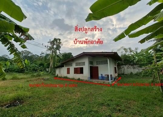 ขายทอดตลาด ที่ดินพร้อมสิ่งปลูกสร้าง ต.บ้านฆ้อง อ.โพธาราม จ.ราชบุรี
