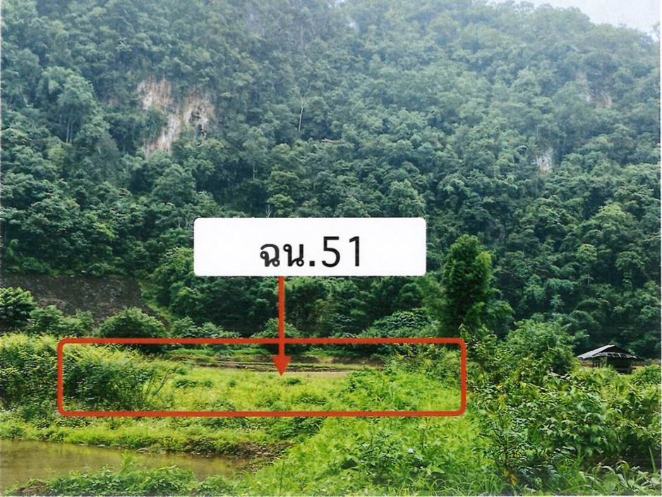ขายทอดตลาด ที่ดินว่างเปล่า ต.ปางมะผ้า อ.ปางมะผ้า จ.แม่ฮ่องสอน
