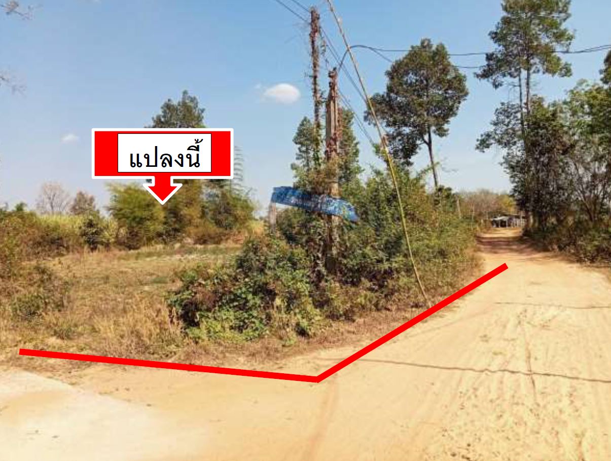 ขายทอดตลาด ที่ดินว่างเปล่า ต.สามัคคี อ.เลิงนกทา จ.ยโสธร