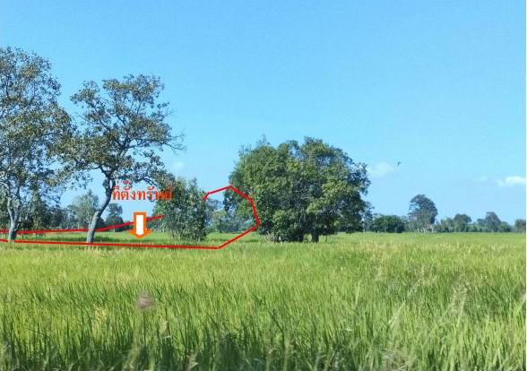 ขายทอดตลาด ที่ดินว่างเปล่า ต.หนองแก้ว อ.เมืองร้อยเอ็ด จ.ร้อยเอ็ด