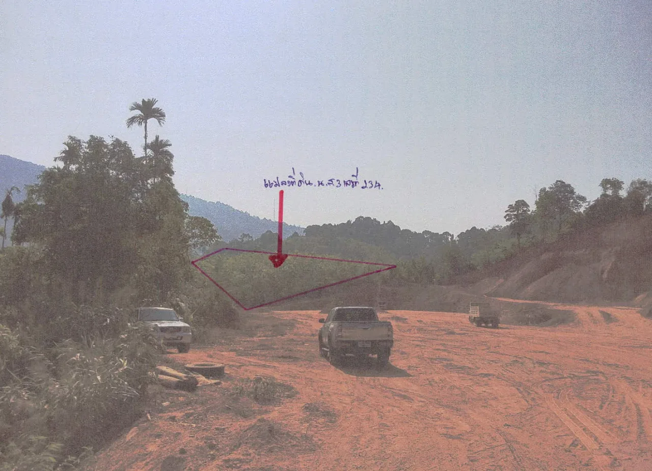 ขายทอดตลาด ที่ดินพร้อมสิ่งปลูกสร้าง ต.บางนอน อ.เมืองระนอง จ.ระนอง