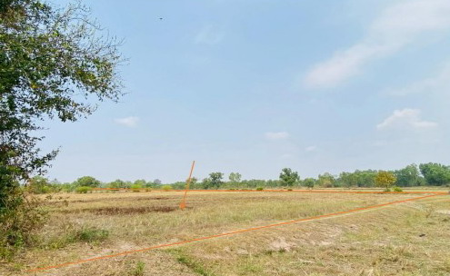 ขายทอดตลาด ที่ดินว่างเปล่า ต.หนองแก้ว อ.เมืองร้อยเอ็ด จ.ร้อยเอ็ด