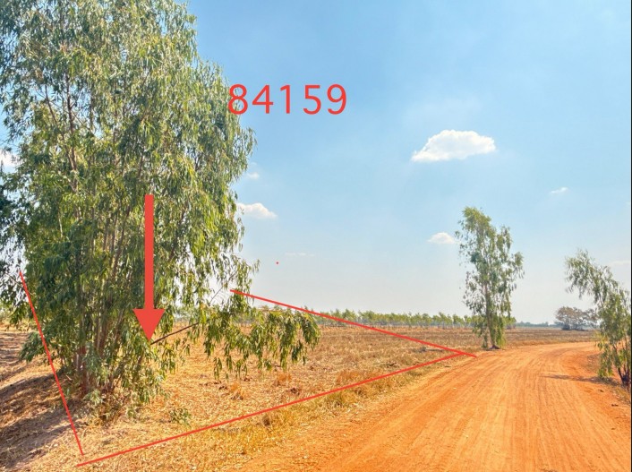 ขายทอดตลาด ที่ดินว่างเปล่า ต.หินกอง อ.สุวรรณภูมิ จ.ร้อยเอ็ด
