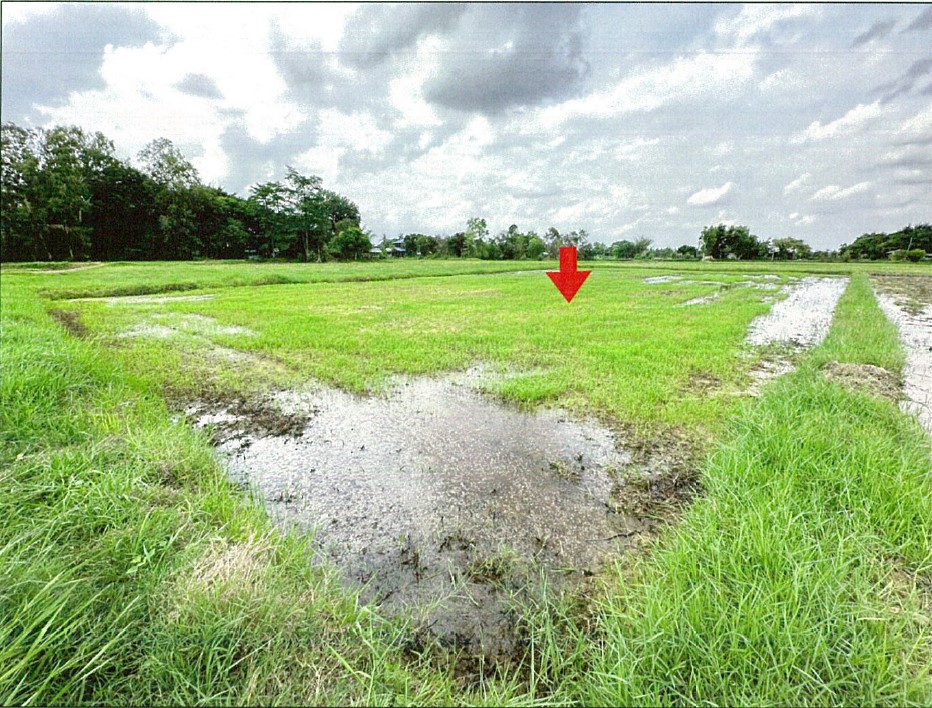 ขายทอดตลาด ที่ดินว่างเปล่า ต.ย่อ อ.คำเขื่อนแก้ว จ.ยโสธร