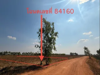 รูปทรัพย์ 2