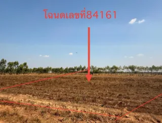 รูปทรัพย์ 3