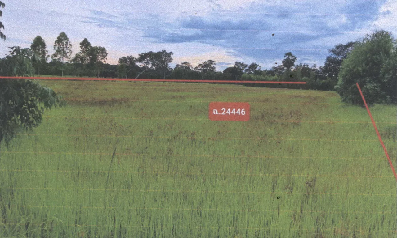 ขายทอดตลาด ที่ดินว่างเปล่า ต.พระเสาร์ อ.มหาชนะชัย จ.ยโสธร