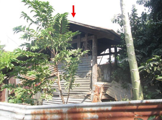 ขายทอดตลาด ที่ดินพร้อมสิ่งปลูกสร้าง ต.สร้างมิ่ง อ.เลิงนกทา จ.ยโสธร