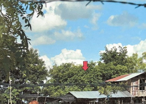 ขายทอดตลาด ที่ดินพร้อมสิ่งปลูกสร้าง ต.โนนสวรรค์ อ.ปทุมรัตต์ จ.ร้อยเอ็ด