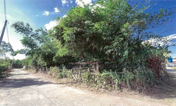 ขายทอดตลาด ที่ดินว่างเปล่า ต.โนนสวรรค์ อ.ปทุมรัตต์ จ.ร้อยเอ็ด