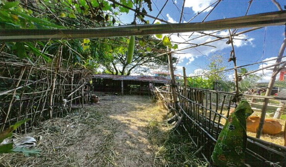 ขายทอดตลาด ที่ดินพร้อมสิ่งปลูกสร้าง ต.โนนสวรรค์ อ.ปทุมรัตต์ จ.ร้อยเอ็ด