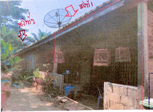 ขายทอดตลาด ที่ดินพร้อมสิ่งปลูกสร้าง ต.กำพวน อ.กิ่งอำเภอสุขสำราญ จ.ระนอง