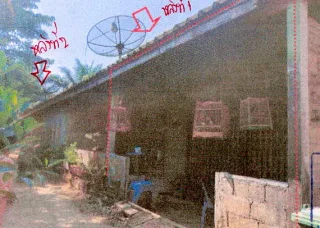 รูปทรัพย์ 2
