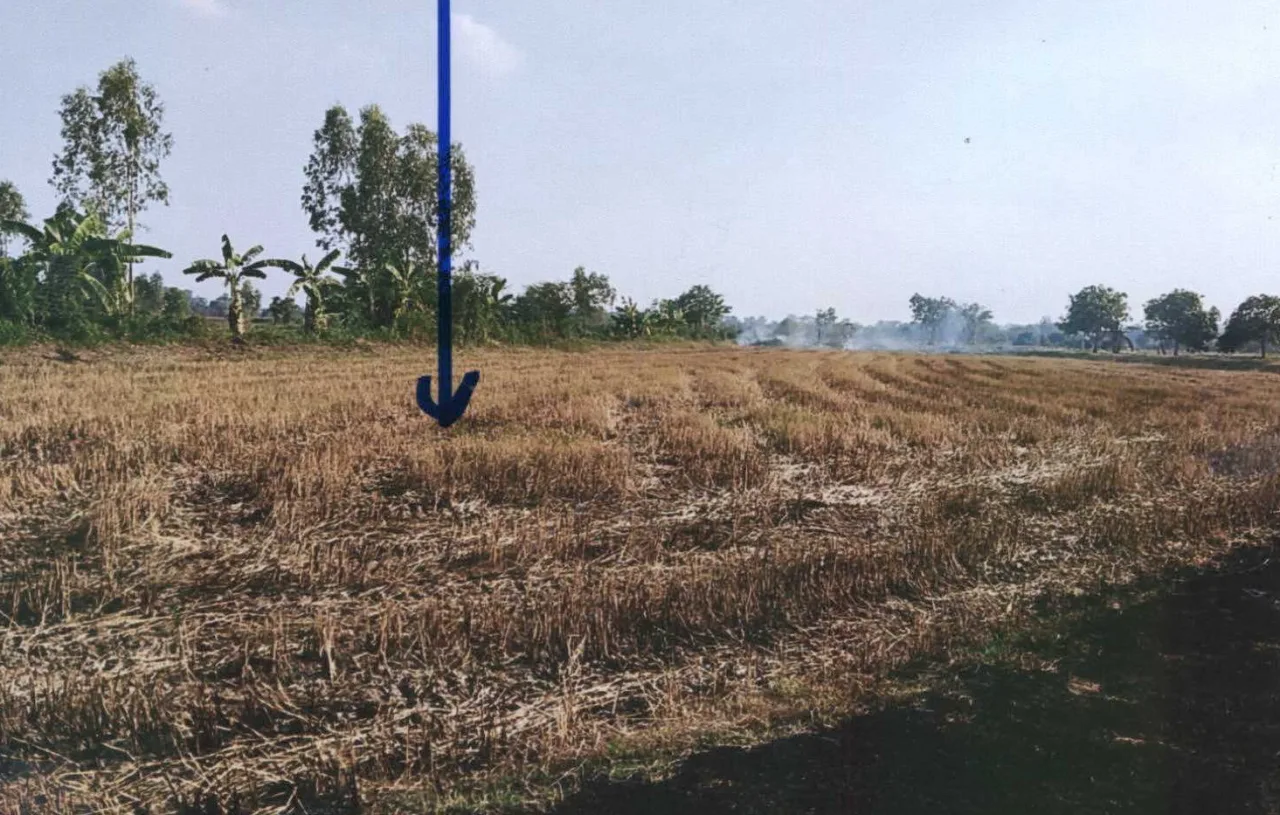 ขายทอดตลาด ที่ดินว่างเปล่า ต.ม่วง อ.มหาชนะชัย จ.ยโสธร