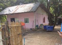ขายทอดตลาด ที่ดินพร้อมสิ่งปลูกสร้าง ต.ฆ้องชัยพัฒนา อ.ฆ้องชัย จ.กาฬสินธุ์