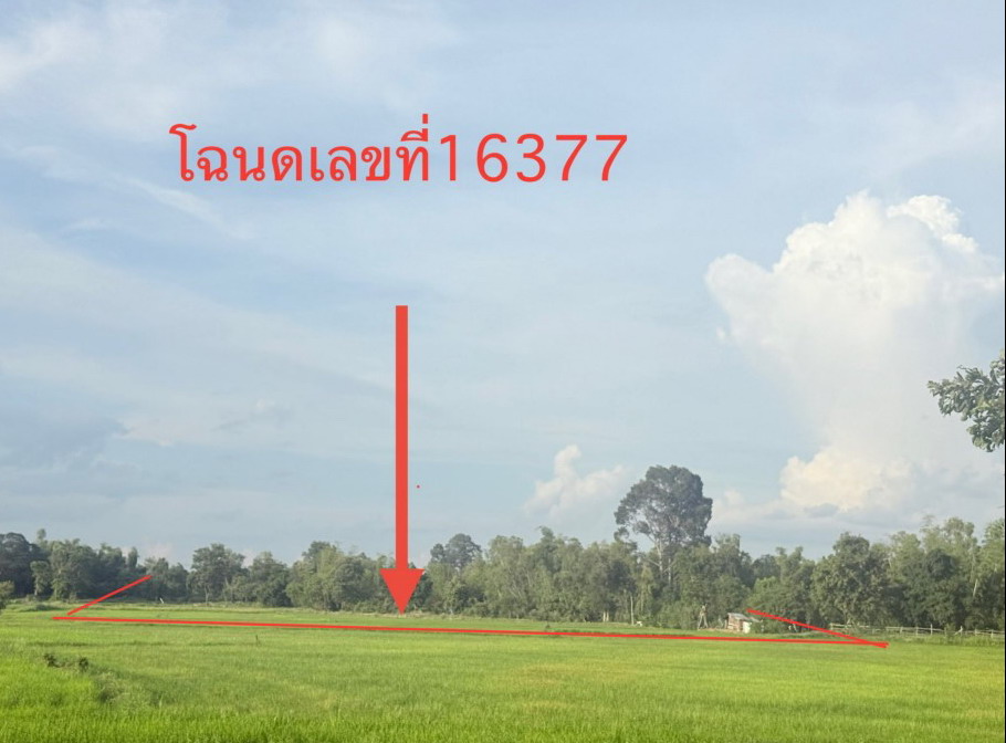 ขายทอดตลาด ที่ดินว่างเปล่า ต.หลุบ อ.เมืองกาฬสินธุ์ จ.กาฬสินธุ์