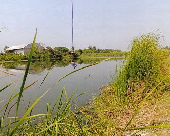 ขายทอดตลาด ที่ดินว่างเปล่า ต.นครชุมน์ อ.บ้านโป่ง จ.ราชบุรี