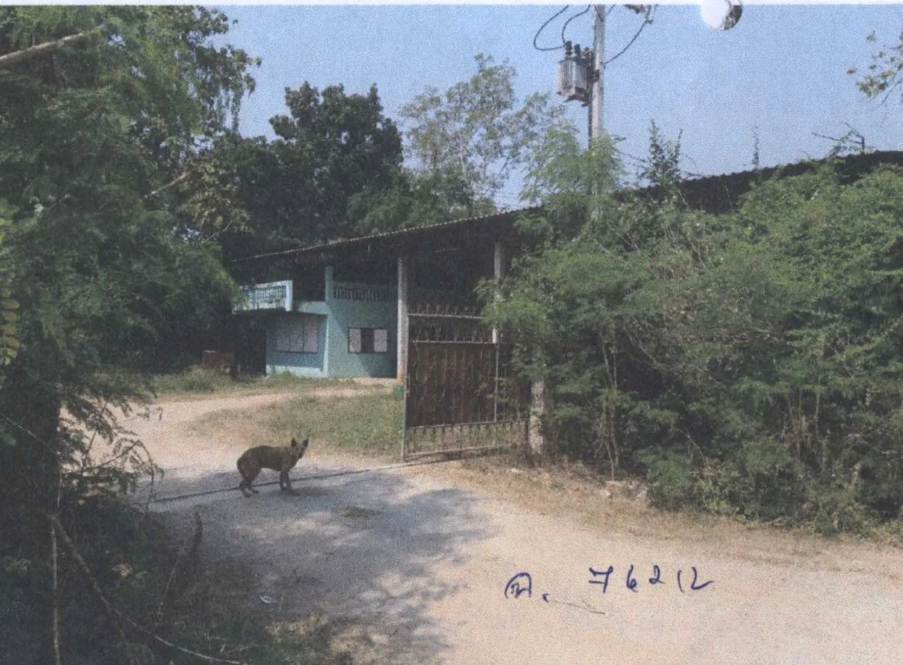 ขายทอดตลาด ที่ดินพร้อมสิ่งปลูกสร้าง ต.ชำแระ อ.โพธาราม จ.ราชบุรี
