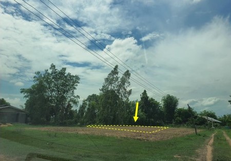 ขายทอดตลาด ที่ดินว่างเปล่า ต.กำแมด อ.กุดชุม จ.ยโสธร