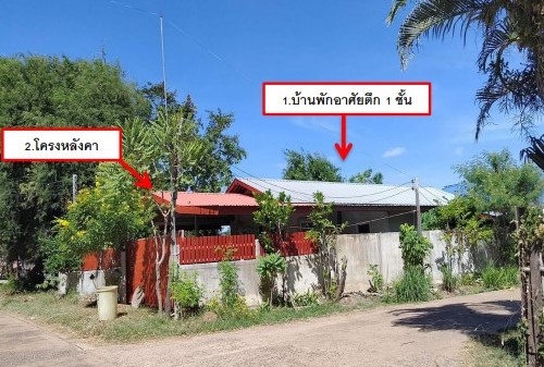 ขายทอดตลาด ที่ดินพร้อมสิ่งปลูกสร้าง ต.โคกนาโก อ.ป่าติ้ว จ.ยโสธร