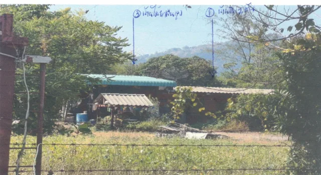 ขายทอดตลาด ที่ดินพร้อมสิ่งปลูกสร้าง ต.ทุ่งหลวง อ.ปากท่อ จ.ราชบุรี