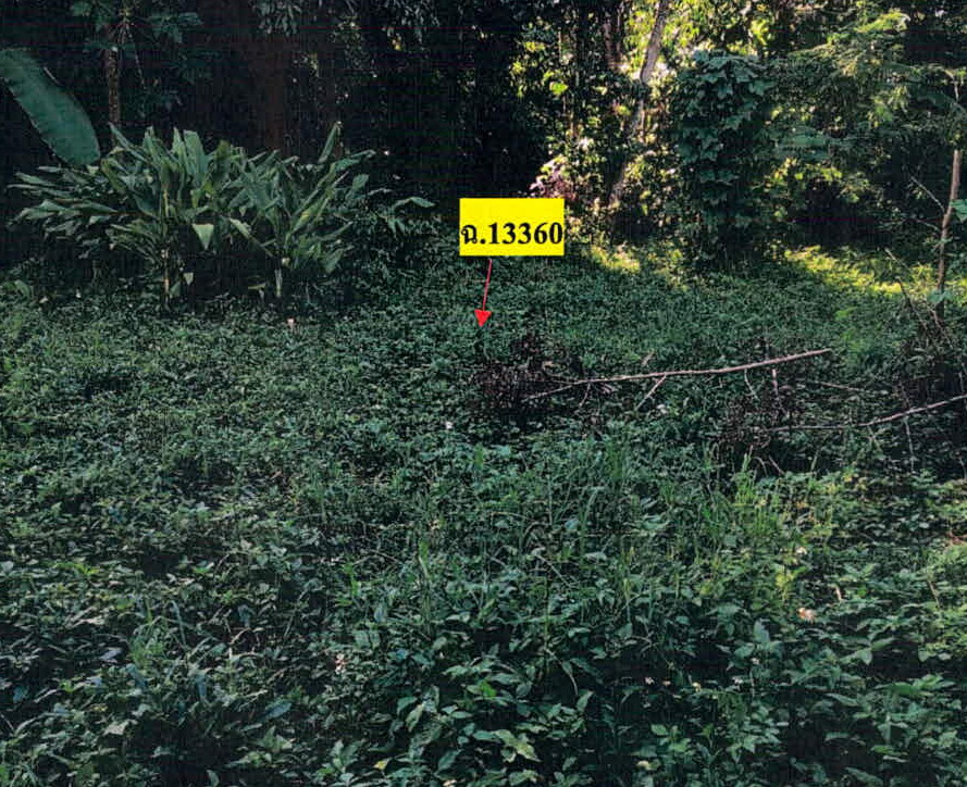 ขายทอดตลาด ที่ดินว่างเปล่า ต.บ้านโป่ง อ.งาว จ.ลำปาง