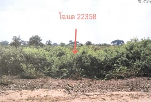 ขายทอดตลาด ที่ดินว่างเปล่า ต.สงเปือย อ.คำเขื่อนแก้ว จ.ยโสธร