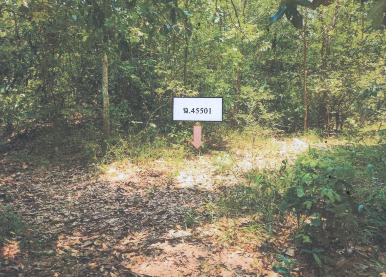 ขายทอดตลาด ที่ดินว่างเปล่า ต.พระเสาร์ อ.มหาชนะชัย จ.ยโสธร