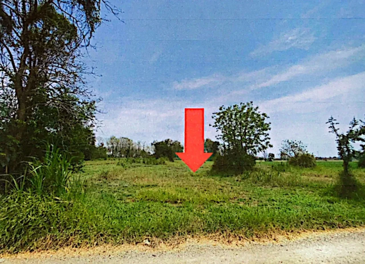 ขายทอดตลาด ที่ดินว่างเปล่า ต.หนองโพ อ.โพธาราม จ.ราชบุรี