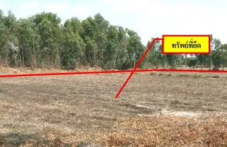 รูปทรัพย์ 2