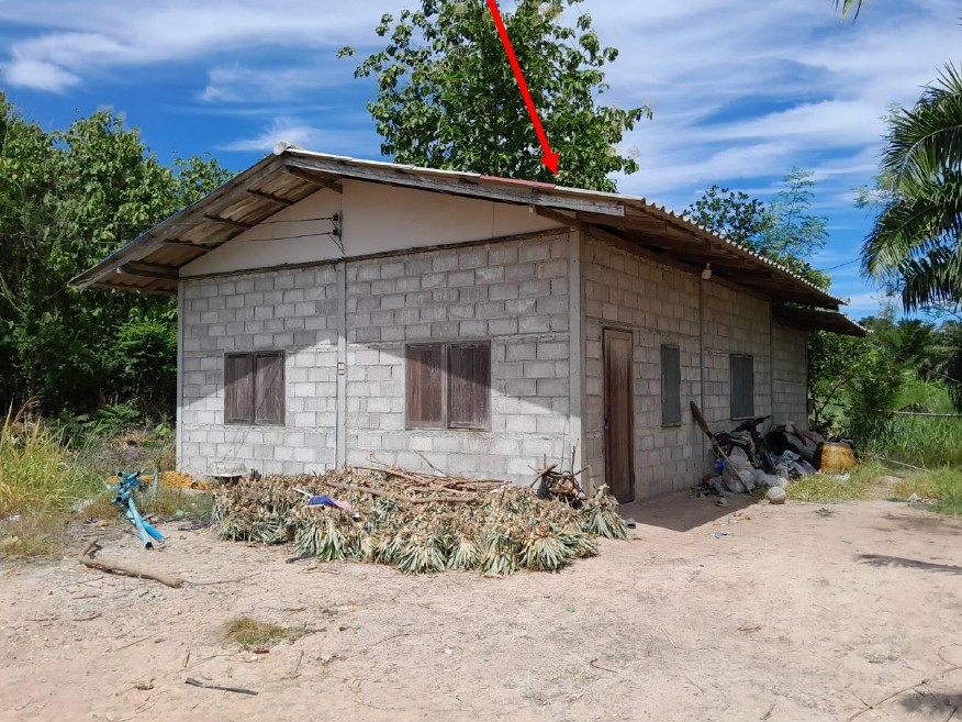 ขายทอดตลาด ที่ดินพร้อมสิ่งปลูกสร้าง ต.หนองพันจันทร์ อ.บ้านคา จ.ราชบุรี