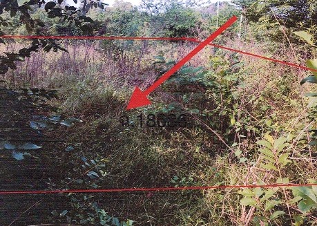 ขายทอดตลาด ที่ดินว่างเปล่า ต.ปากช่อง อ.จอมบึง จ.ราชบุรี