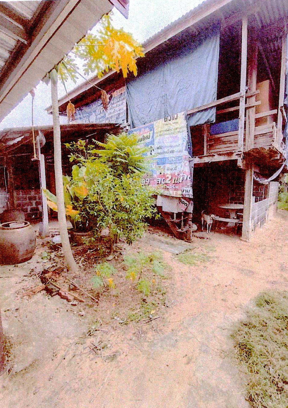 ขายทอดตลาด ที่ดินพร้อมสิ่งปลูกสร้าง ต.นาคำ อ.คำเขื่อนแก้ว จ.ยโสธร
