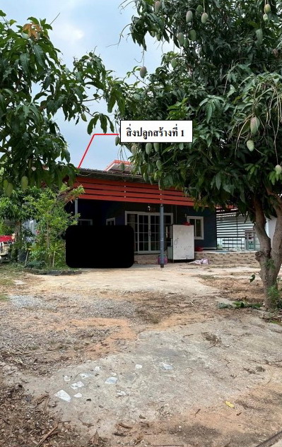 ขายทอดตลาด ที่ดินพร้อมสิ่งปลูกสร้าง ต.หนองแวง อ.สมเด็จ จ.กาฬสินธุ์