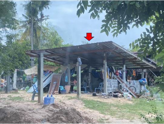 ขายทอดตลาด ที่ดินพร้อมสิ่งปลูกสร้าง ต.เมืองทอง อ.เมืองร้อยเอ็ด จ.ร้อยเอ็ด