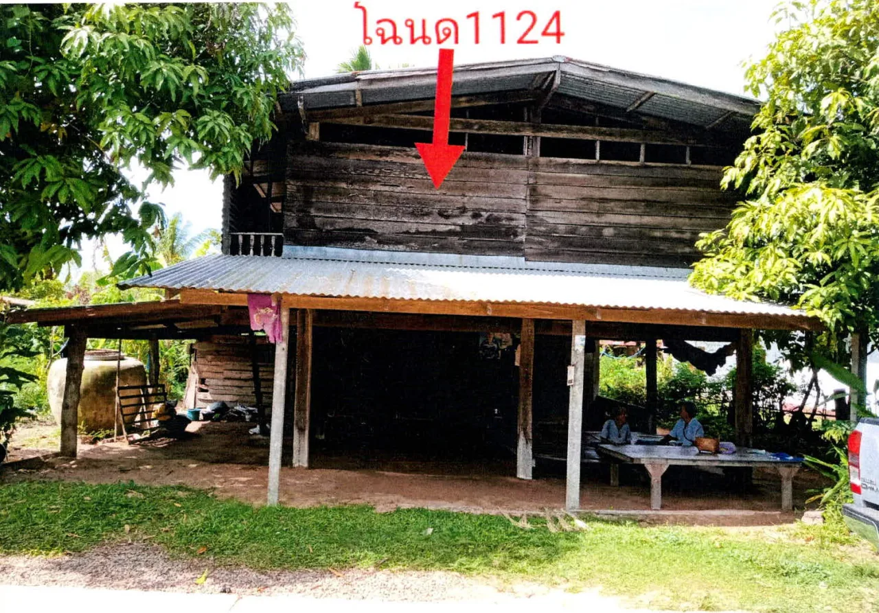 ขายทอดตลาด ที่ดินพร้อมสิ่งปลูกสร้าง ต.คำไผ่ อ.ไทยเจริญ จ.ยโสธร