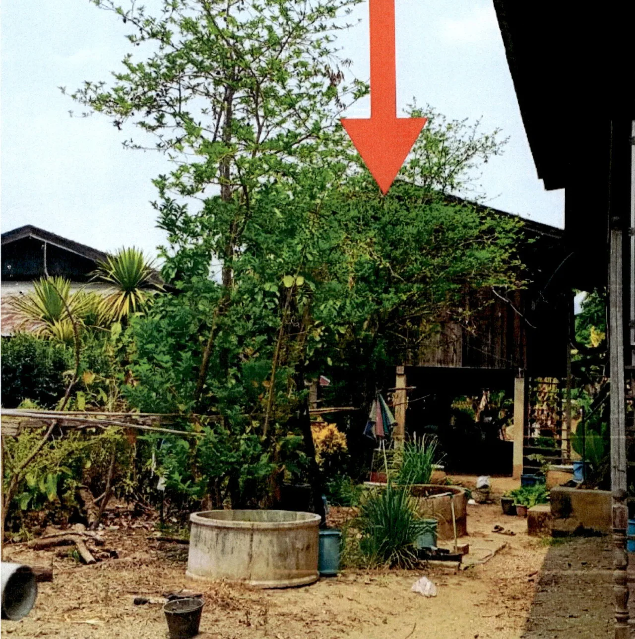 ขายทอดตลาด ที่ดินพร้อมสิ่งปลูกสร้าง ต.แจ้ห่ม อ.แจ้ห่ม จ.ลำปาง