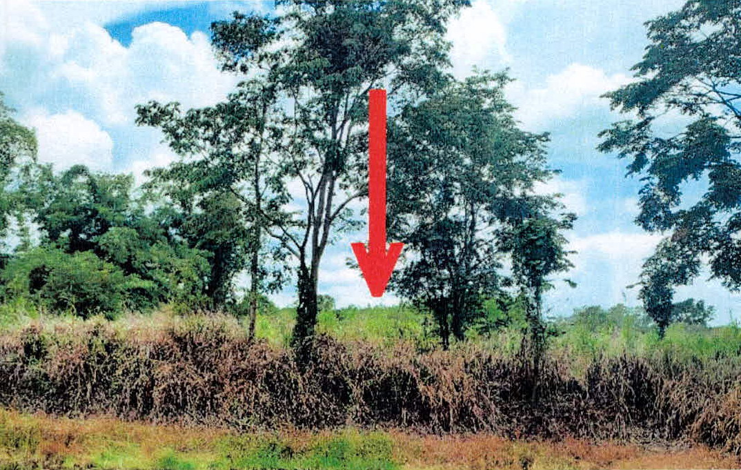 ขายทอดตลาด ที่ดินว่างเปล่า ต.ทุ่งแต้ อ.เมืองยโสธร จ.ยโสธร