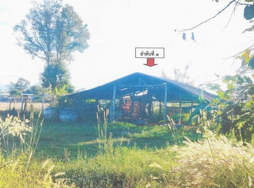 ขายทอดตลาด ที่ดินพร้อมสิ่งปลูกสร้าง ต.ทรายมูล อ.ทรายมูล จ.ยโสธร
